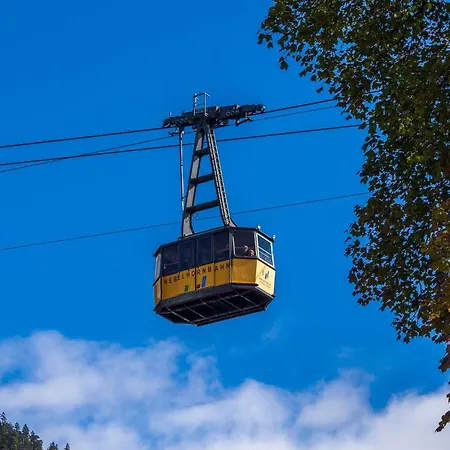 Zur Gluecklichen Kuh * Oberstdorf